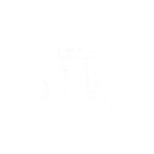 ikona ochrona imprez masowych