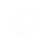 ikona monitoring wizyjny